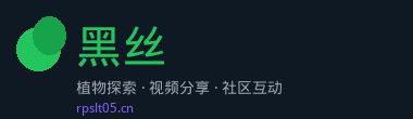 黑丝